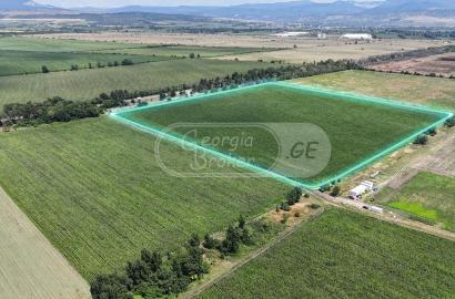 agricultural land for sale