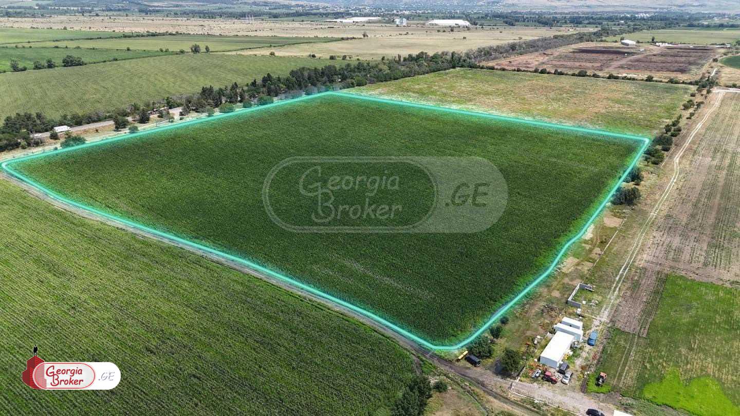 agricultural land for sale