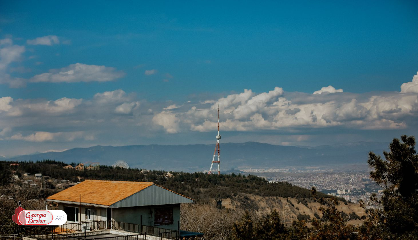 იყიდება ახალი აშენებული 10 ოთახიანი სახლი