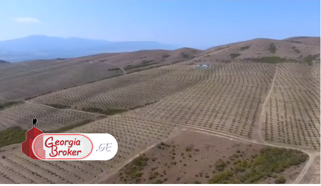 продается сельскохозяйственная Земля