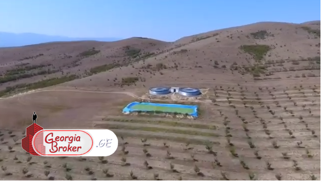 продается сельскохозяйственная Земля