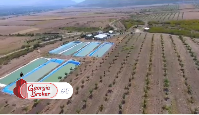 продается сельскохозяйственная Земля