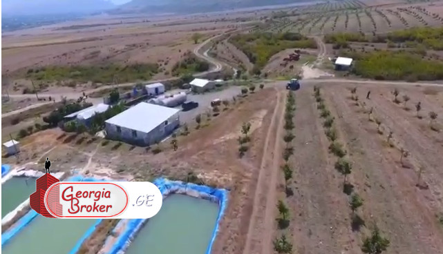 продается сельскохозяйственная Земля