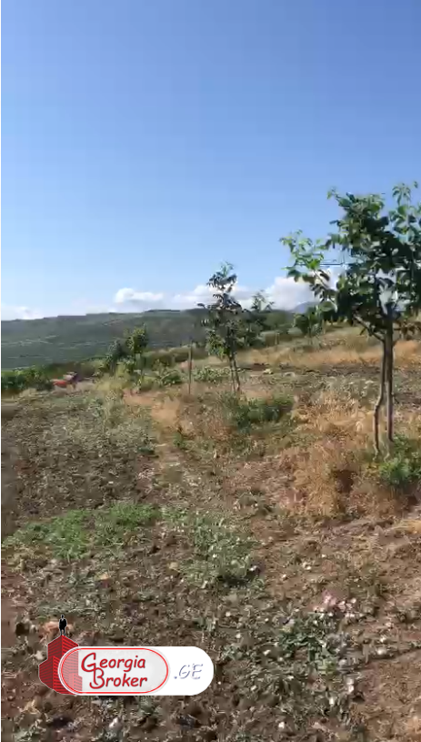 продается сельскохозяйственная Земля