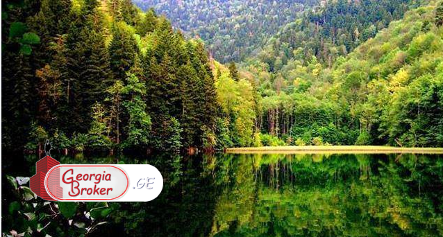 продается Земля для инвестиций