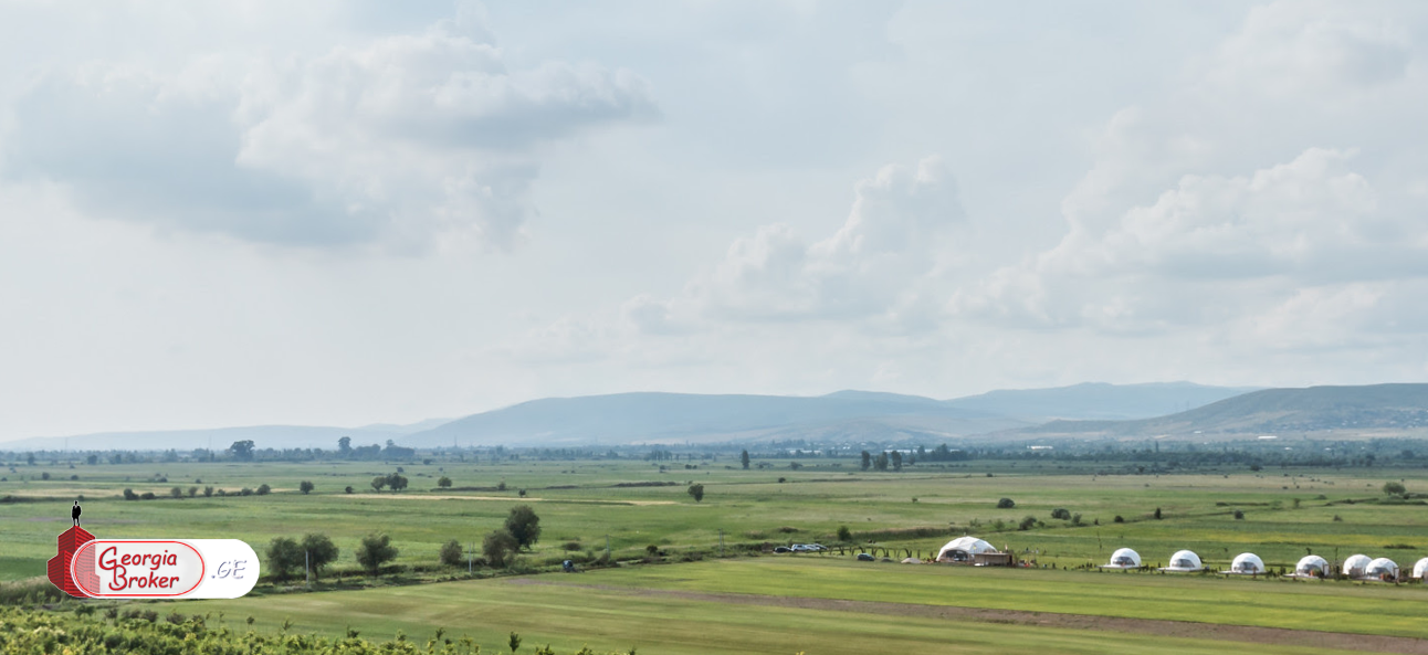 4200კვ.მ მიწის ნაკვეთი წილკანში