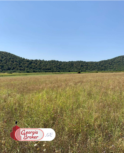 продается Земля для инвестиций