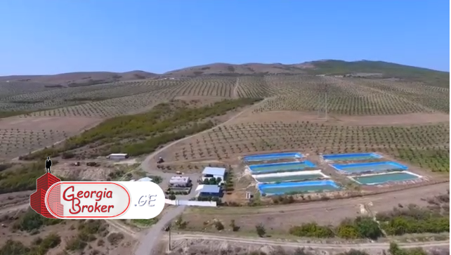 продается сельскохозяйственная Земля