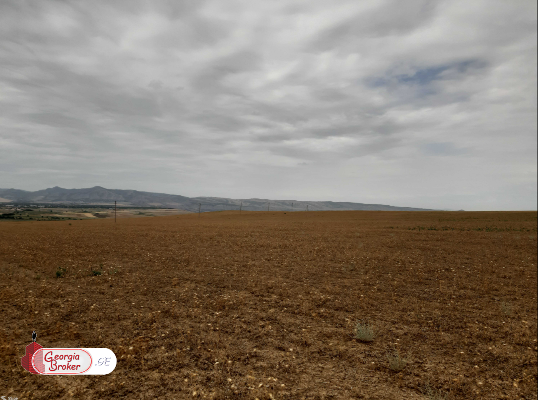 იყიდება 230 ha სამეურნეო მიწის ნაკვეთი თეთრიწყაროს რაიონში