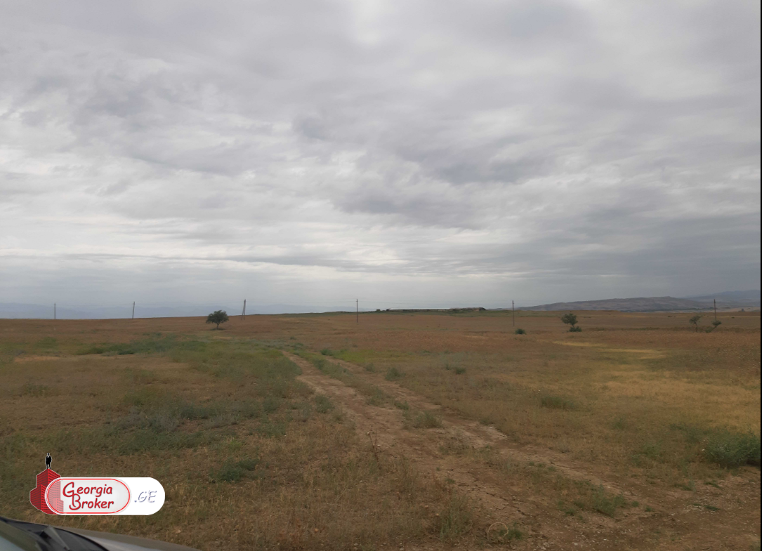 იყიდება 230 ha სამეურნეო მიწის ნაკვეთი თეთრიწყაროს რაიონში