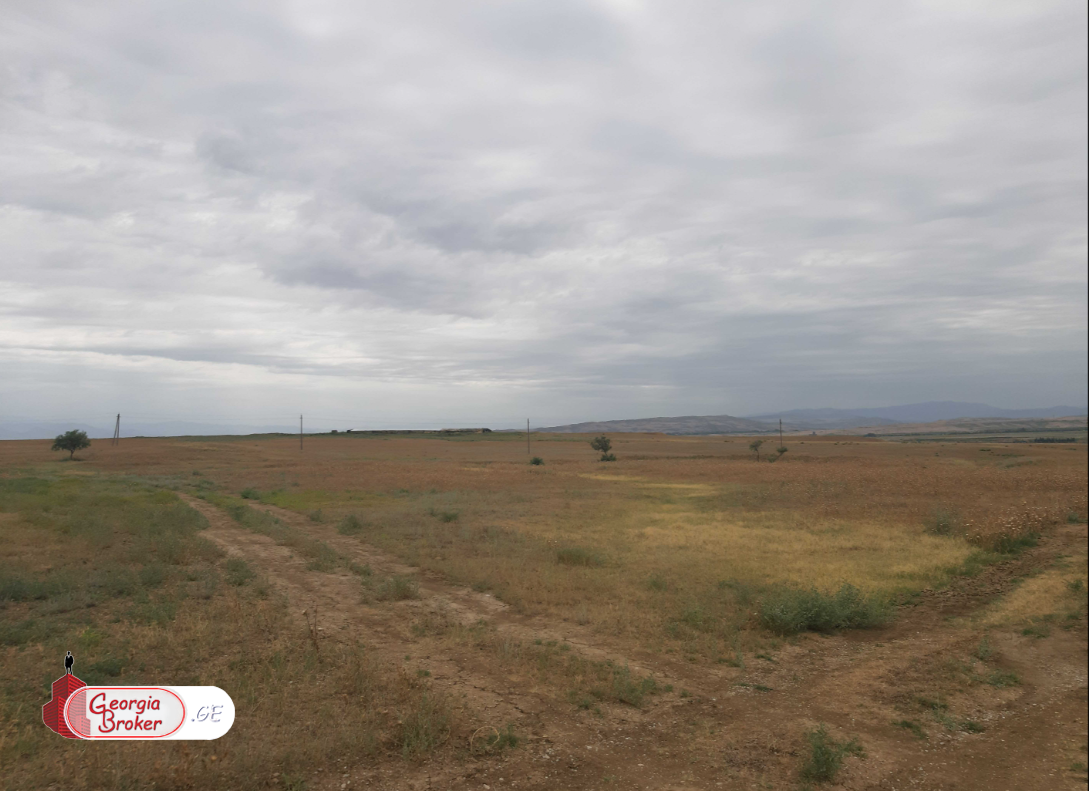 იყიდება 230 ha სამეურნეო მიწის ნაკვეთი თეთრიწყაროს რაიონში