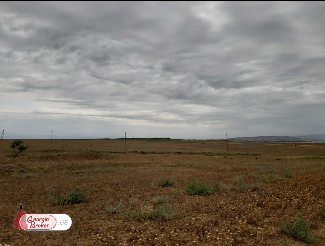 იყიდება 230 ha სამეურნეო მიწის ნაკვეთი თეთრიწყაროს რაიონში