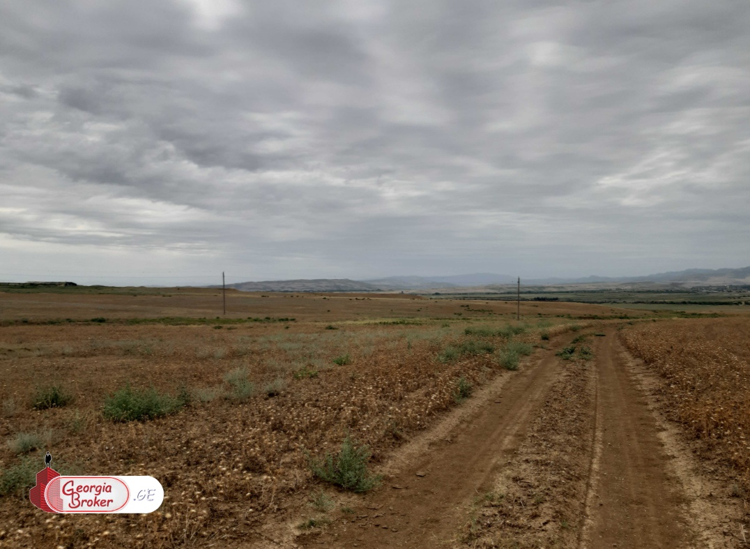 იყიდება 230 ha სამეურნეო მიწის ნაკვეთი თეთრიწყაროს რაიონში