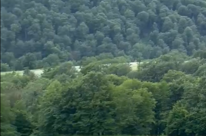 იყიდება 443 ჰა საინვესტიციო მიწის ნაკვეთი