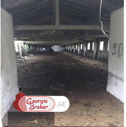 agricultural land for sale