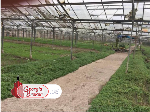 agricultural land for sale