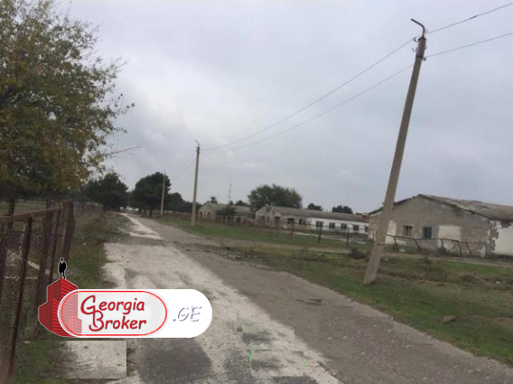 agricultural land for sale