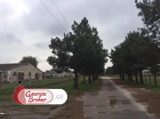 agricultural land for sale