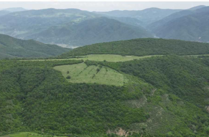 იყიდება 5.8 ჰა   მიწის ნაკვეთი