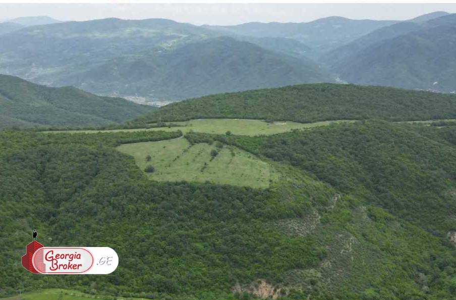 იყიდება 5.8 ჰა   მიწის ნაკვეთი