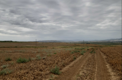 იყიდება სამეურნეო მიწის ნაკვეთი