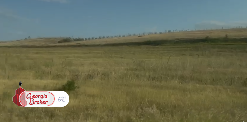 იყიდება სამეურნეო მიწის ნაკვეთი