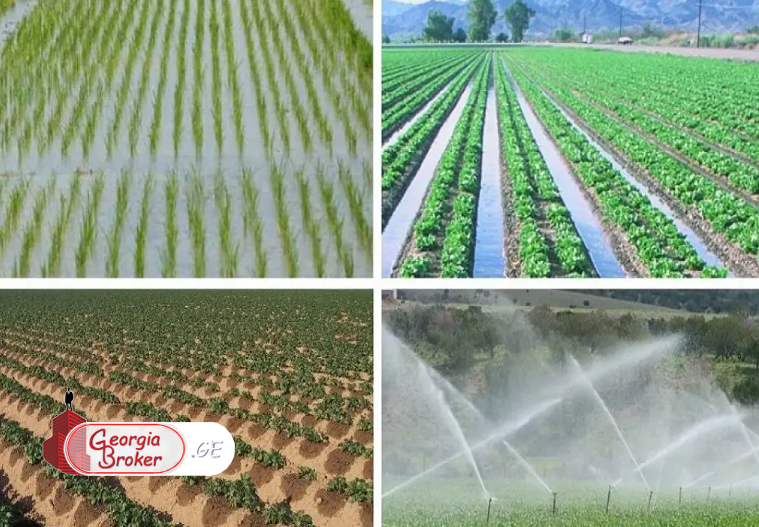 იყიდება 18 ჰა სამეურნეო მიწის ნაკვეთი გიორგიწმინდა (საგარეჯოს რაიონი)