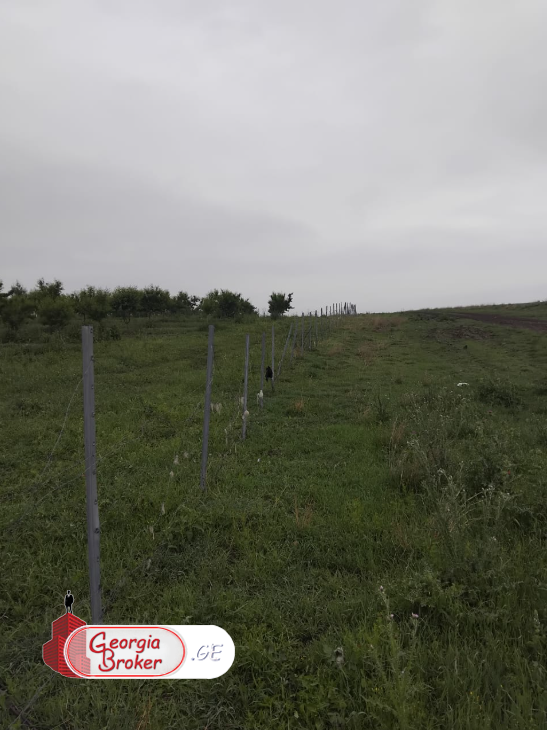 agricultural land for sale