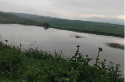 იყიდება500 ჰა სამეურნეო მიწის ნაკვეთი