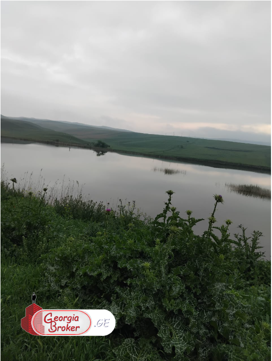 agricultural land for sale