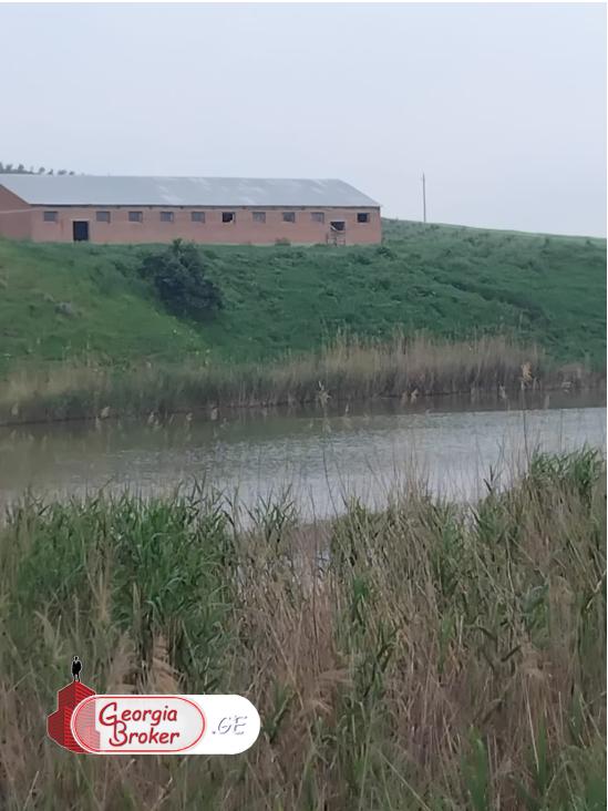 agricultural land for sale