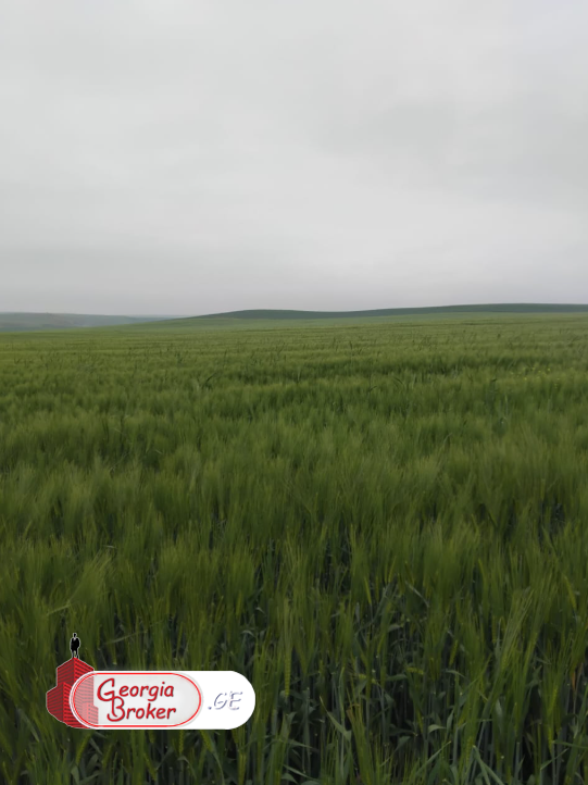 agricultural land for sale