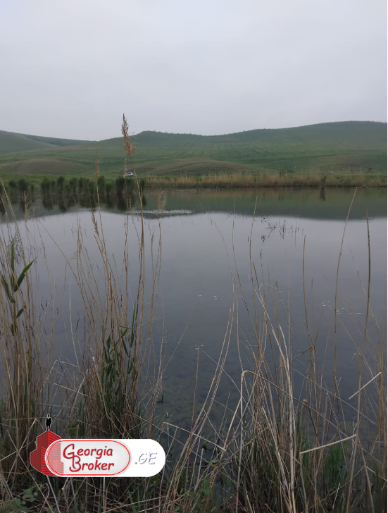 agricultural land for sale