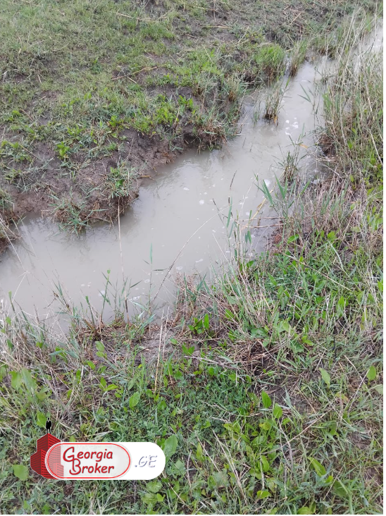 agricultural land for sale