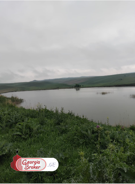 agricultural land for sale