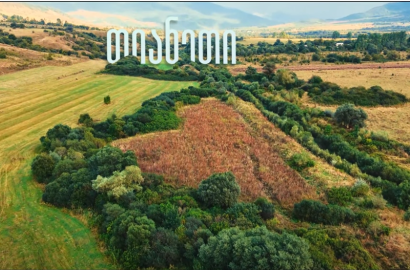 იყიდება სამეურნეო მიწის ნაკვეთი ხევსურთსოფელში