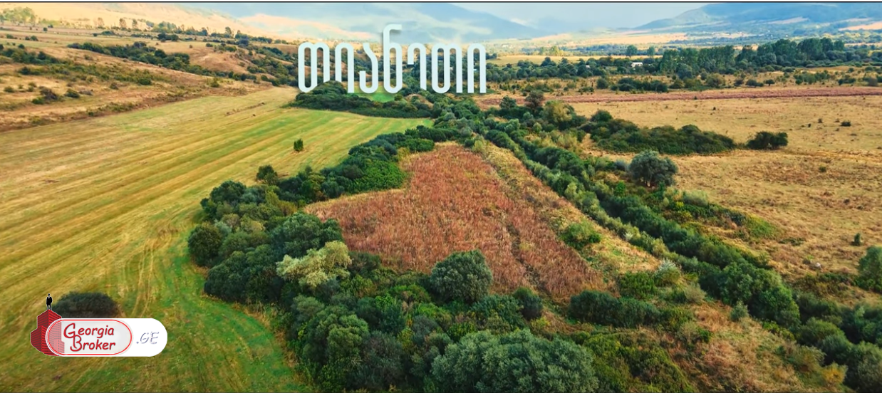 იყიდება სამეურნეო მიწის ნაკვეთი ხევსურთსოფელში