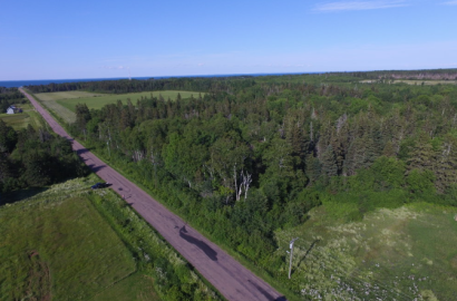 იყიდება სამეურნეო მიწის ნაკვეთი მანგლისში