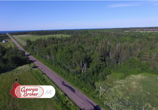 იყიდება სამეურნეო მიწის ნაკვეთი მანგლისში