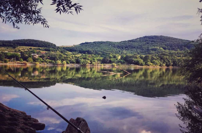 იყიდება 17 ჰა  სამეურნეო მიწის ნაკვეთი თეთრიწყაროს რაიონში