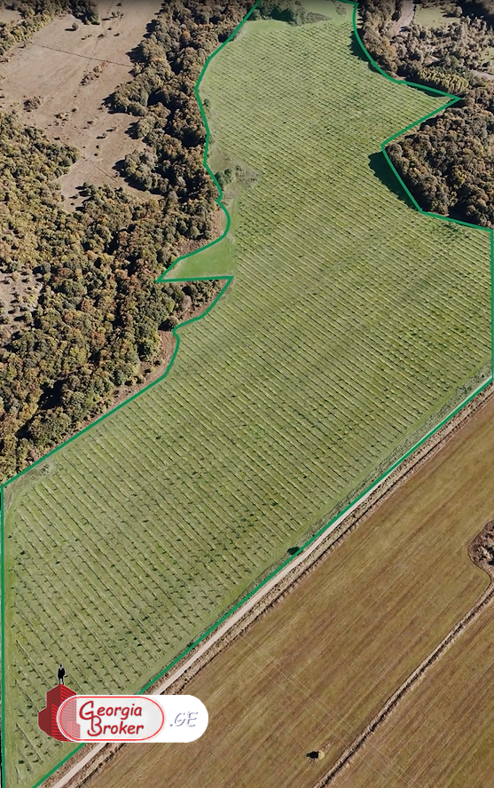 agricultural land for sale