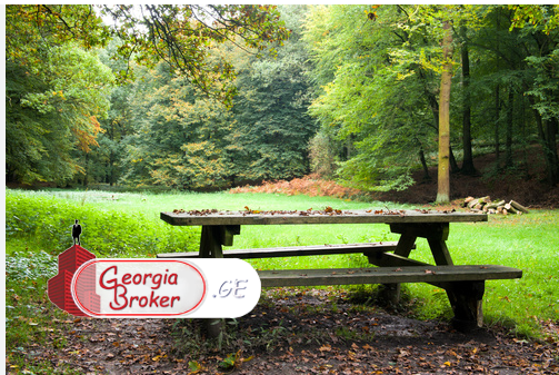 agricultural land for sale