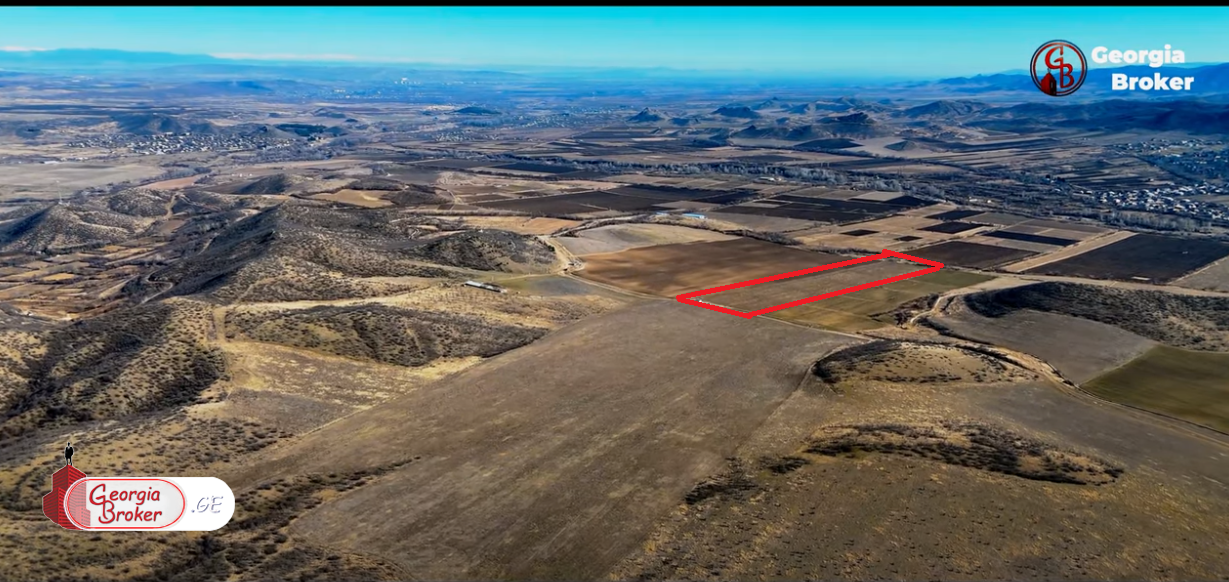 იყიდება 6 ჰაზე გაშენებული ნუშის ბაღი