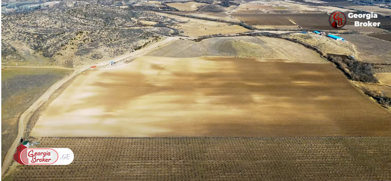 იყიდება 6 ჰაზე გაშენებული ნუშის ბაღი