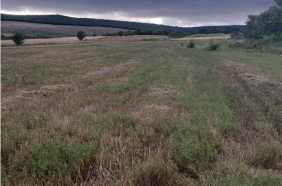 იყიდება 145 ჰა მიწა დუშეთის მუნიციპალიტეტში(შუახევი)