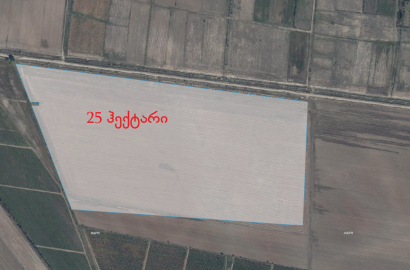 იყიდება 25 ჰა  მიწის ნაკვეთი მცხეთის მუნიციპალიტეტში