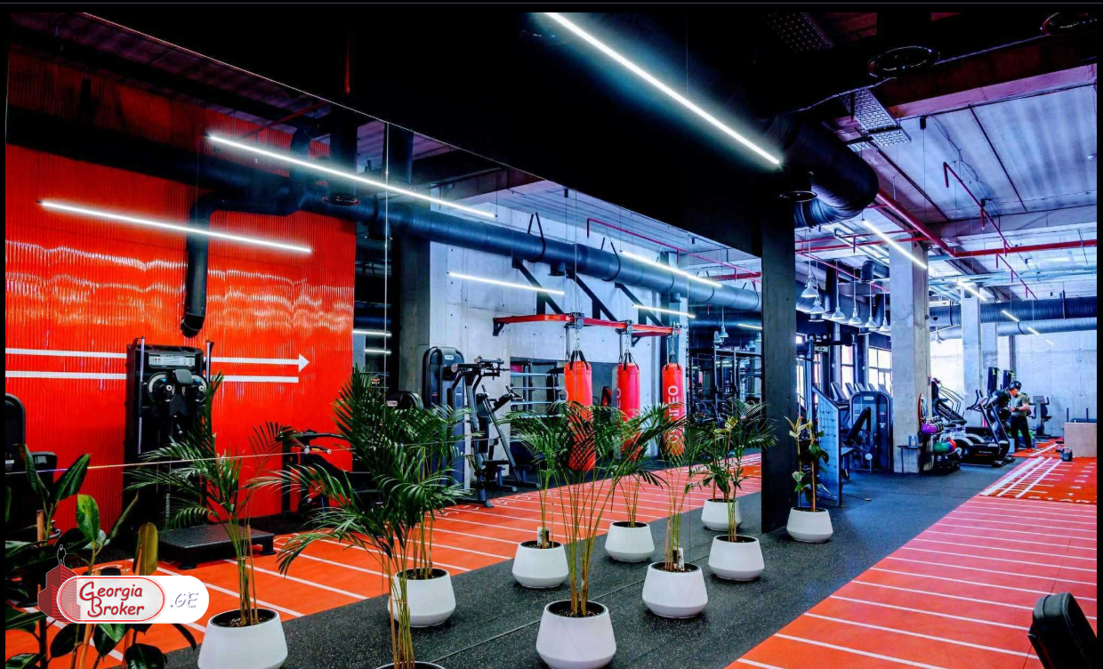 იყიდება ახალი გარემონტებული უნივერსალური ფართი გაქირავებული სპორტდარბაზზე