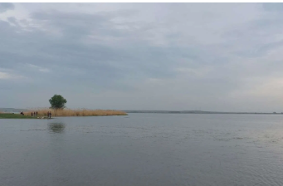 იყიდება71 ჰა  სამეურნეო მიწის ნაკვეთი ჯანდარის ტბასთან