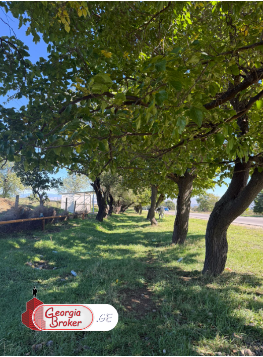 იყიდება  თელეთში ცენტრალური ავტობანის მომიჯნავეთ  მიწის ნაკვეთი