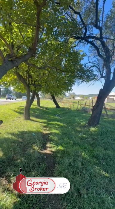 იყიდება  თელეთში ცენტრალური ავტობანის მომიჯნავეთ  მიწის ნაკვეთი